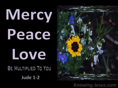 Jude 1:2 Mercy Peace And Love Be Multiplied (black)